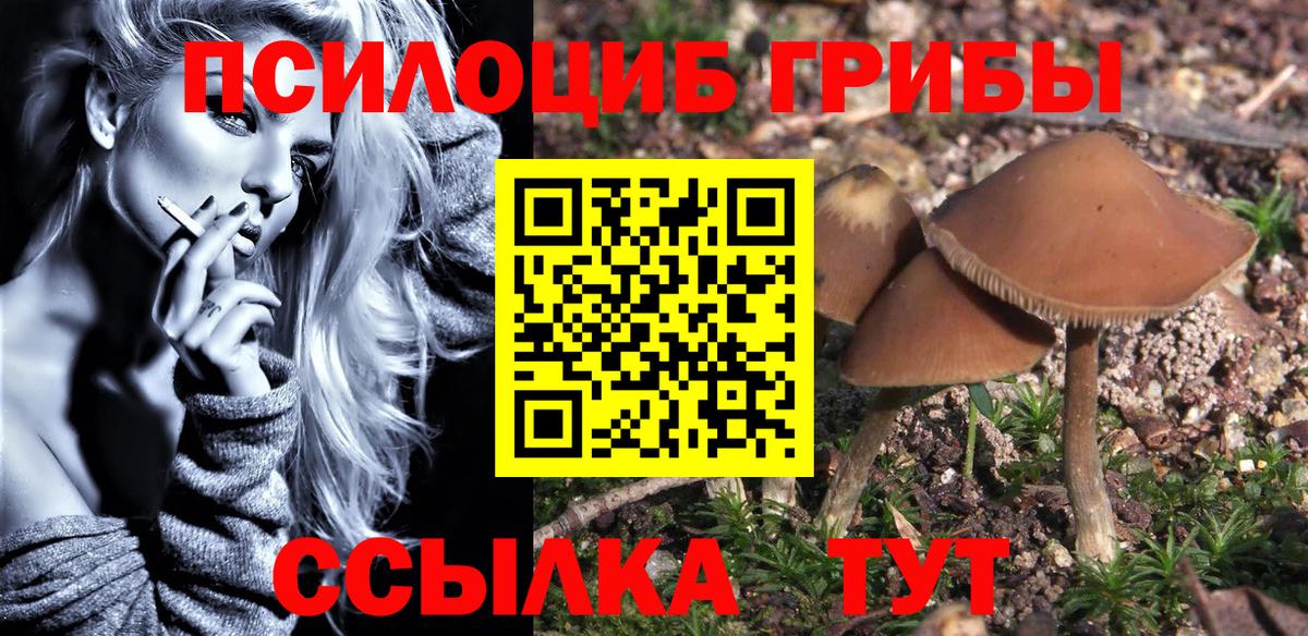 Галлюциногенные грибы мухоморы Сухой Лог
