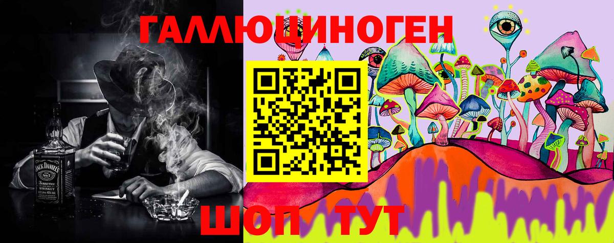 Галлюциногенные грибы прущие грибы  Вход с VPN  Сухой Лог  Псилоцибиновые грибы Psilocybine cubensis 